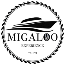 Migaloo Tahiti Excursions Catamaran Sunset Tours Journée